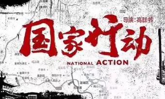 国家行动